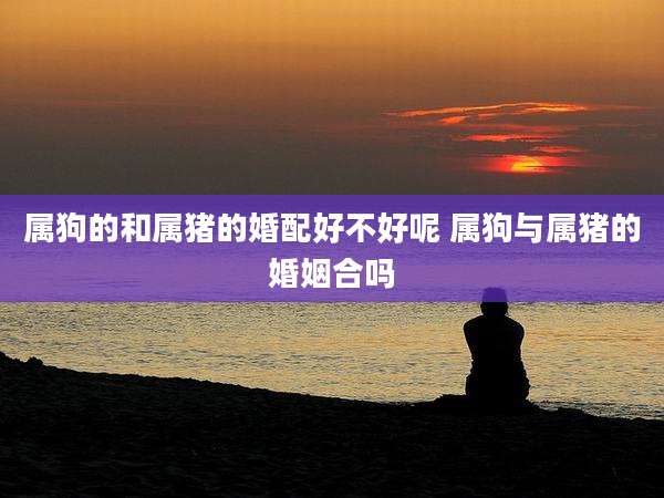 属狗的和属猪的婚配好不好呢 属狗与属猪的婚姻合吗