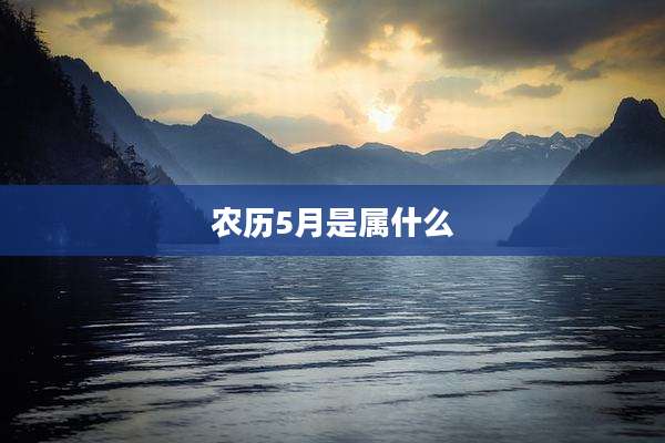 农历5月是属什么