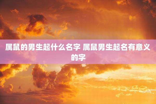 属鼠的男生起什么名字 属鼠男生起名有意义的字