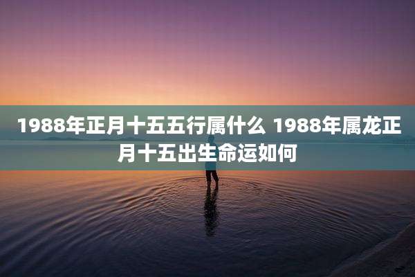 1988年正月十五五行属什么 1988年属龙正月十五出生命运如何