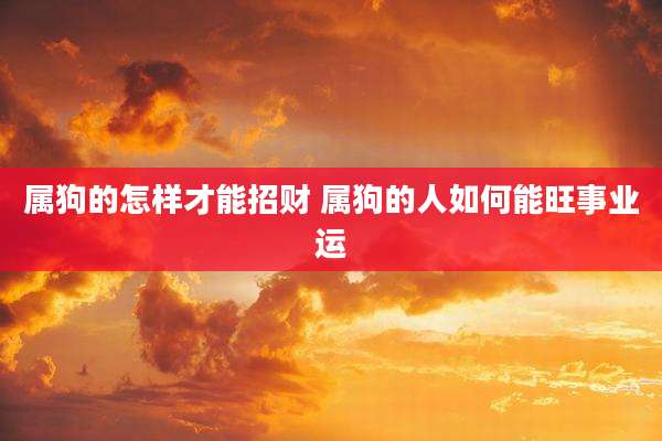 属狗的怎样才能招财 属狗的人如何能旺事业运