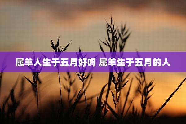 属羊人生于五月好吗 属羊生于五月的人