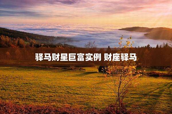 驿马财星巨富实例 财座驿马