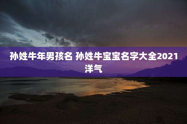孙姓牛年男孩名 孙姓牛宝宝名字大全2021洋气