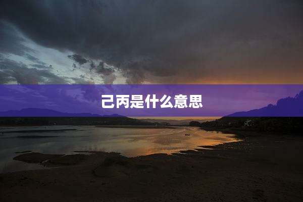 己丙是什么意思