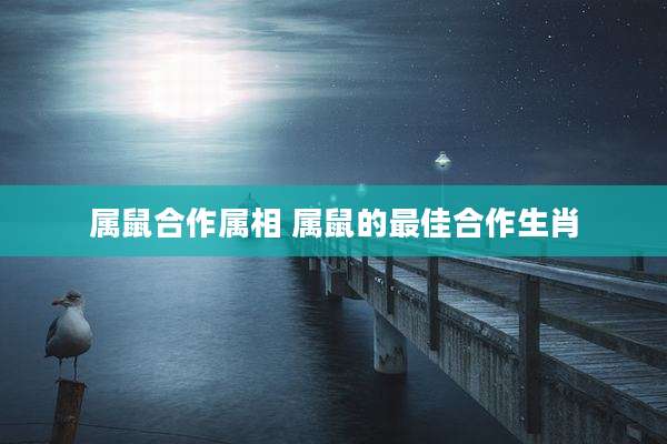 属鼠合作属相 属鼠的最佳合作生肖