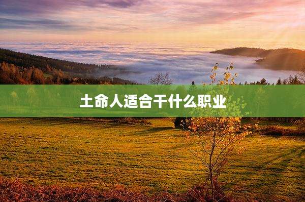 土命人适合干什么职业