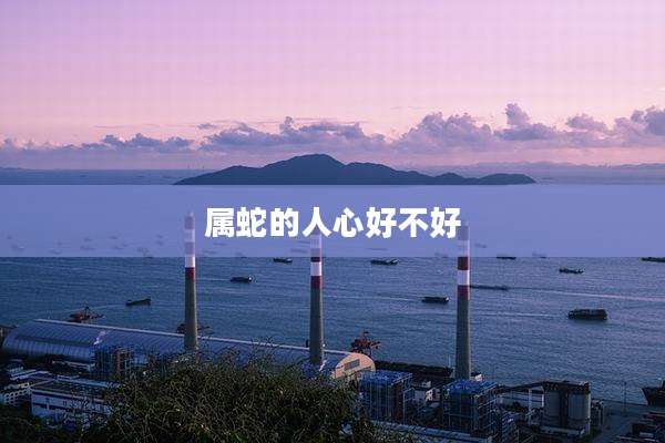 属蛇的人心好不好