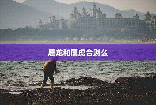 属龙和属虎合财么