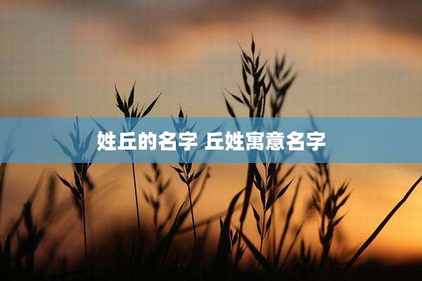 姓丘的名字 丘姓寓意名字