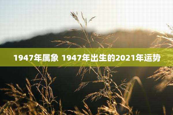 1947年属象 1947年出生的2021年运势