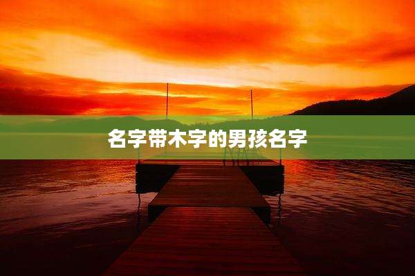 名字带木字的男孩名字