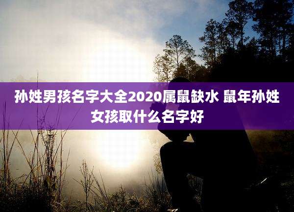 孙姓男孩名字大全2020属鼠缺水 鼠年孙姓女孩取什么名字好