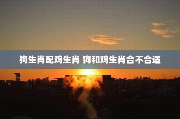 狗生肖配鸡生肖 狗和鸡生肖合不合适