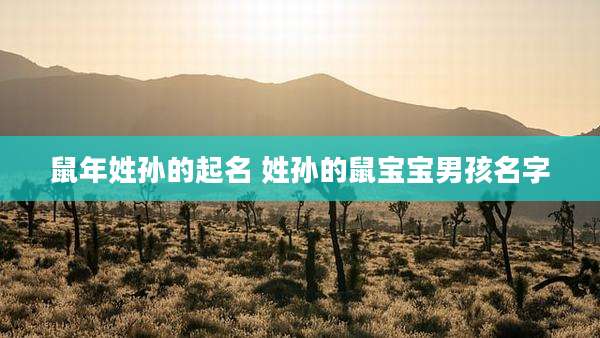 鼠年姓孙的起名 姓孙的鼠宝宝男孩名字