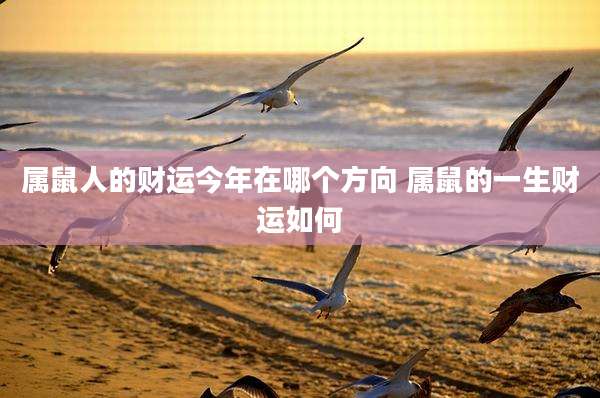 属鼠人的财运今年在哪个方向 属鼠的一生财运如何
