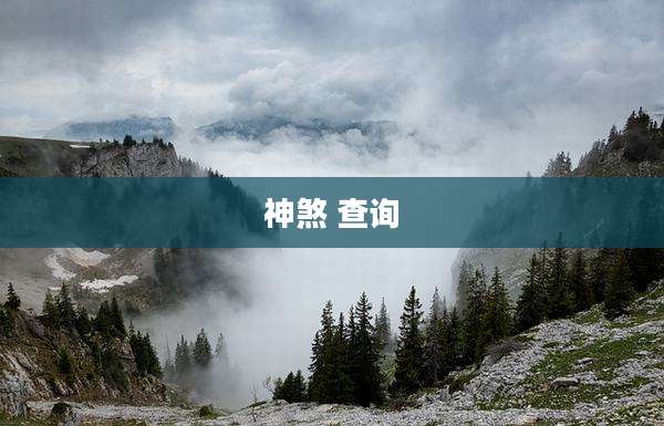 神煞 查询