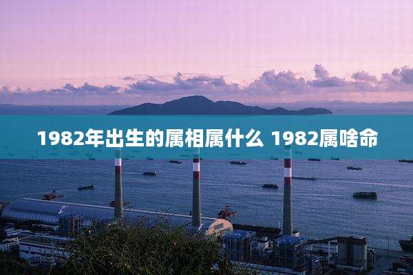 1982年出生的属相属什么 1982属啥命