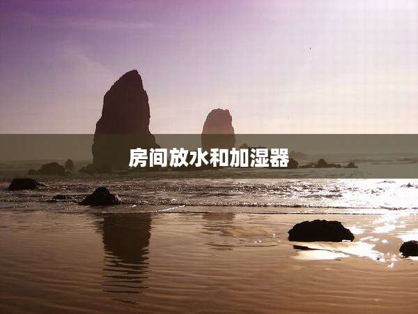 房间放水和加湿器
