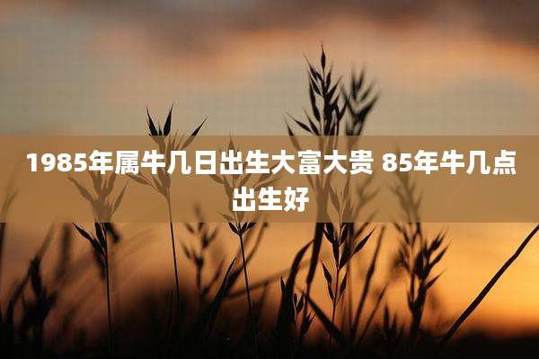 1985年属牛几日出生大富大贵 85年牛几点出生好
