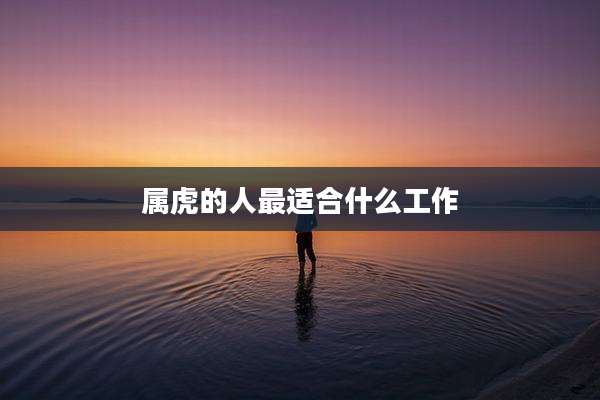 属虎的人最适合什么工作