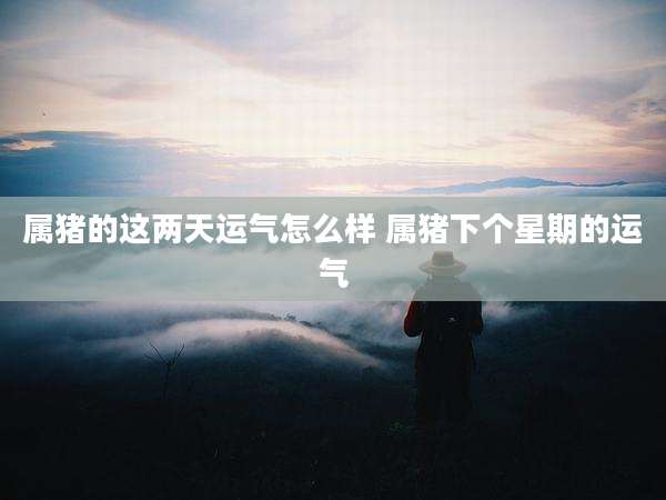 属猪的这两天运气怎么样 属猪下个星期的运气