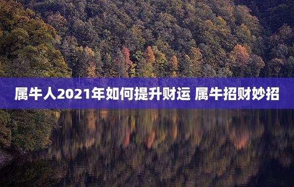 属牛人2021年如何提升财运 属牛招财妙招