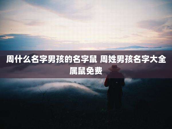 周什么名字男孩的名字鼠 周姓男孩名字大全属鼠免费