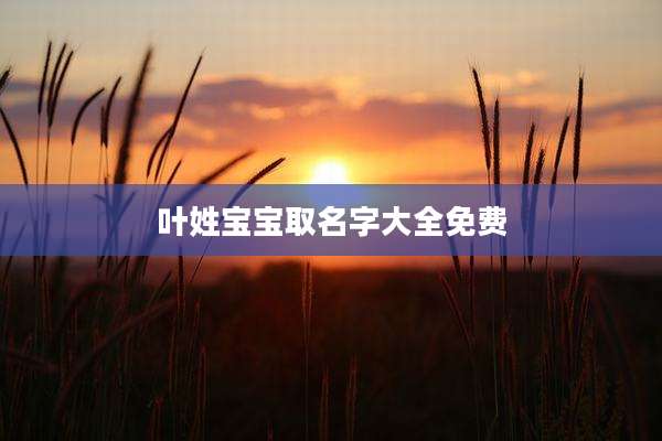 叶姓宝宝取名字大全免费