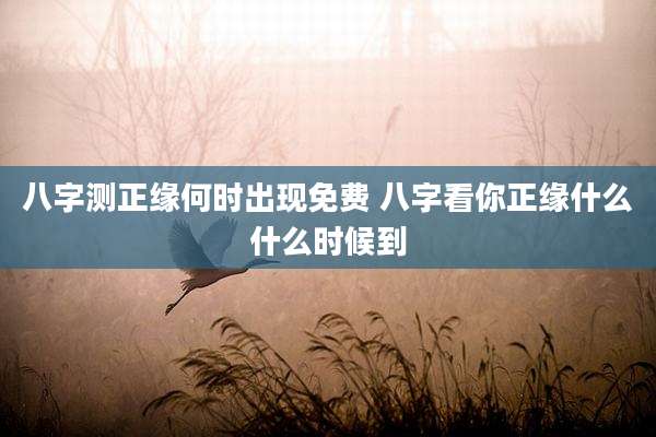 八字测正缘何时出现免费 八字看你正缘什么什么时候到