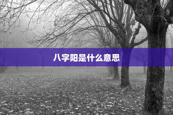 八字阳是什么意思