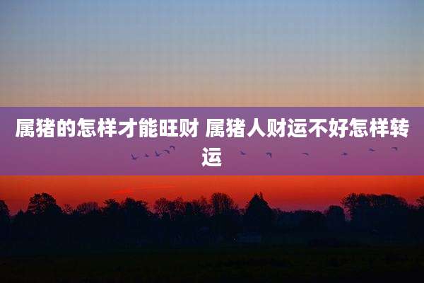 属猪的怎样才能旺财 属猪人财运不好怎样转运