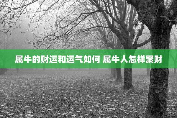 属牛的财运和运气如何 属牛人怎样聚财