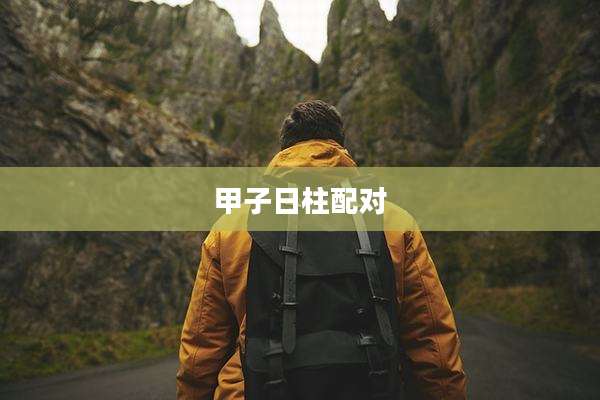 甲子日柱配对