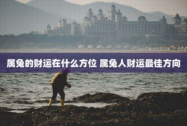 属兔的财运在什么方位 属兔人财运最佳方向