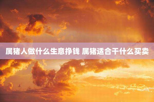 属猪人做什么生意挣钱 属猪适合干什么买卖