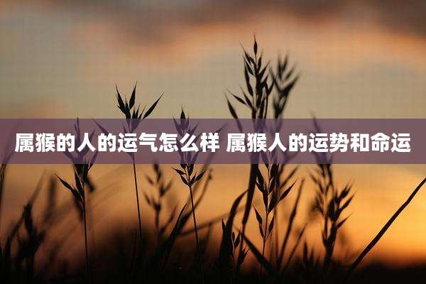 属猴的人的运气怎么样 属猴人的运势和命运