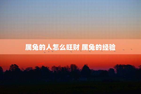 属兔的人怎么旺财 属兔的经验