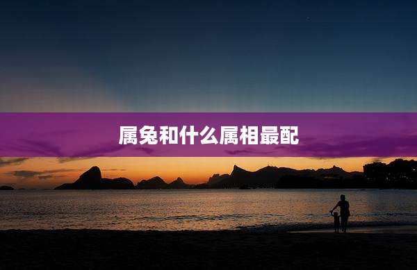 属兔和什么属相最配