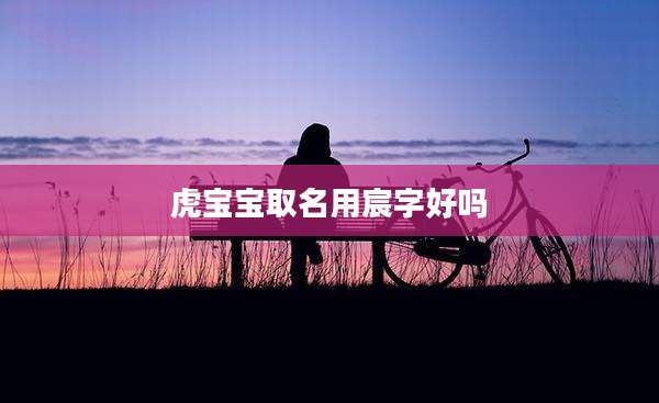 虎宝宝取名用宸字好吗