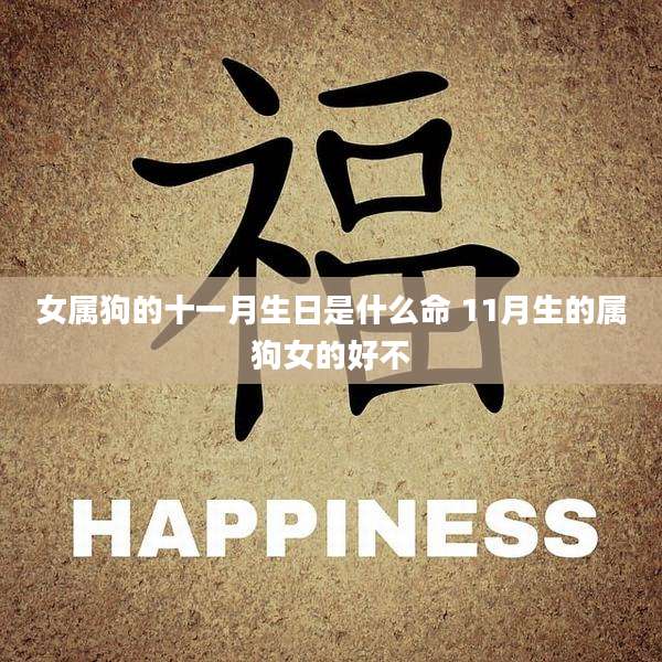 女属狗的十一月生日是什么命 11月生的属狗女的好不