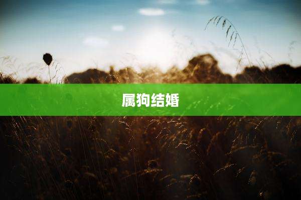 属狗结婚
