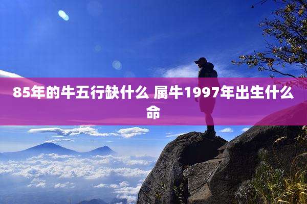85年的牛五行缺什么 属牛1997年出生什么命
