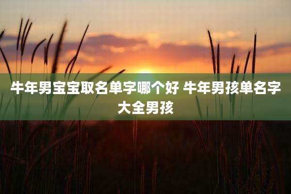牛年男宝宝取名单字哪个好 牛年男孩单名字大全男孩