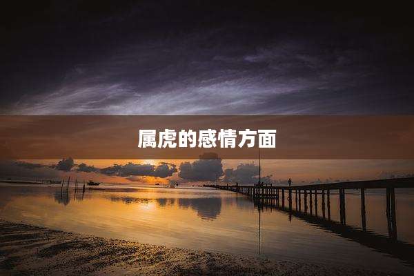 属虎的感情方面