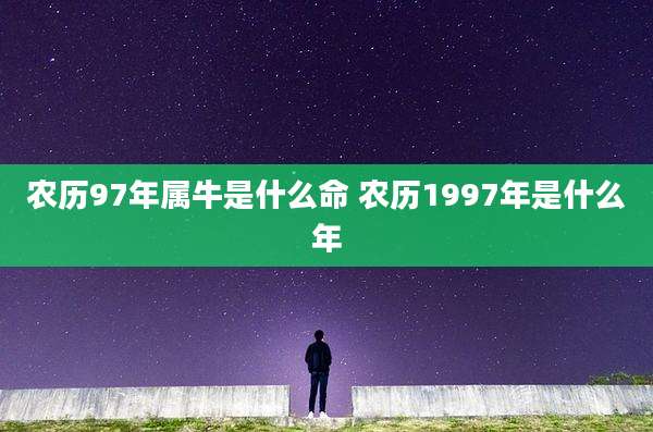 农历97年属牛是什么命 农历1997年是什么年