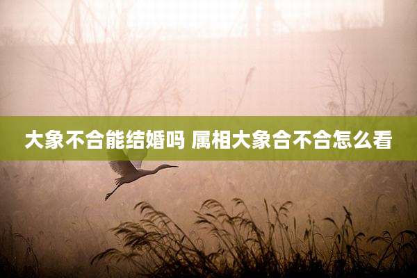 大象不合能结婚吗 属相大象合不合怎么看