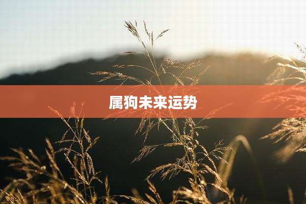 属狗未来运势