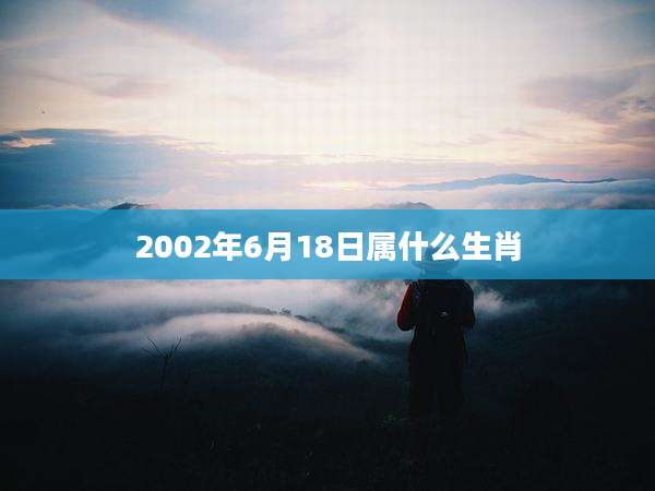 2002年6月18日属什么生肖