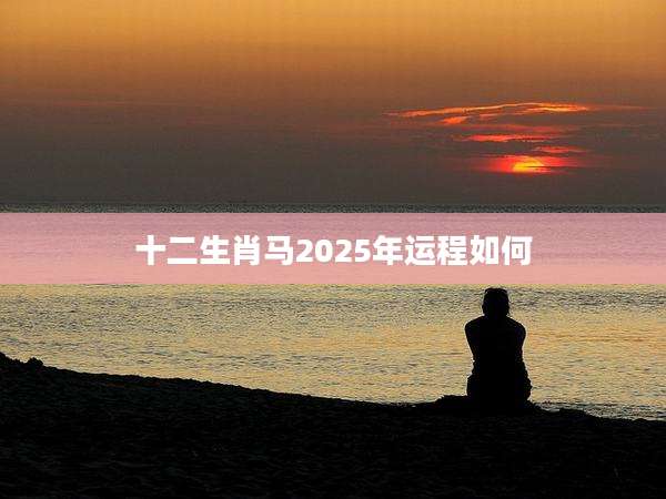 十二生肖马2025年运程如何